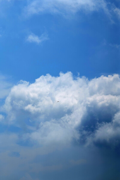 夏の雲