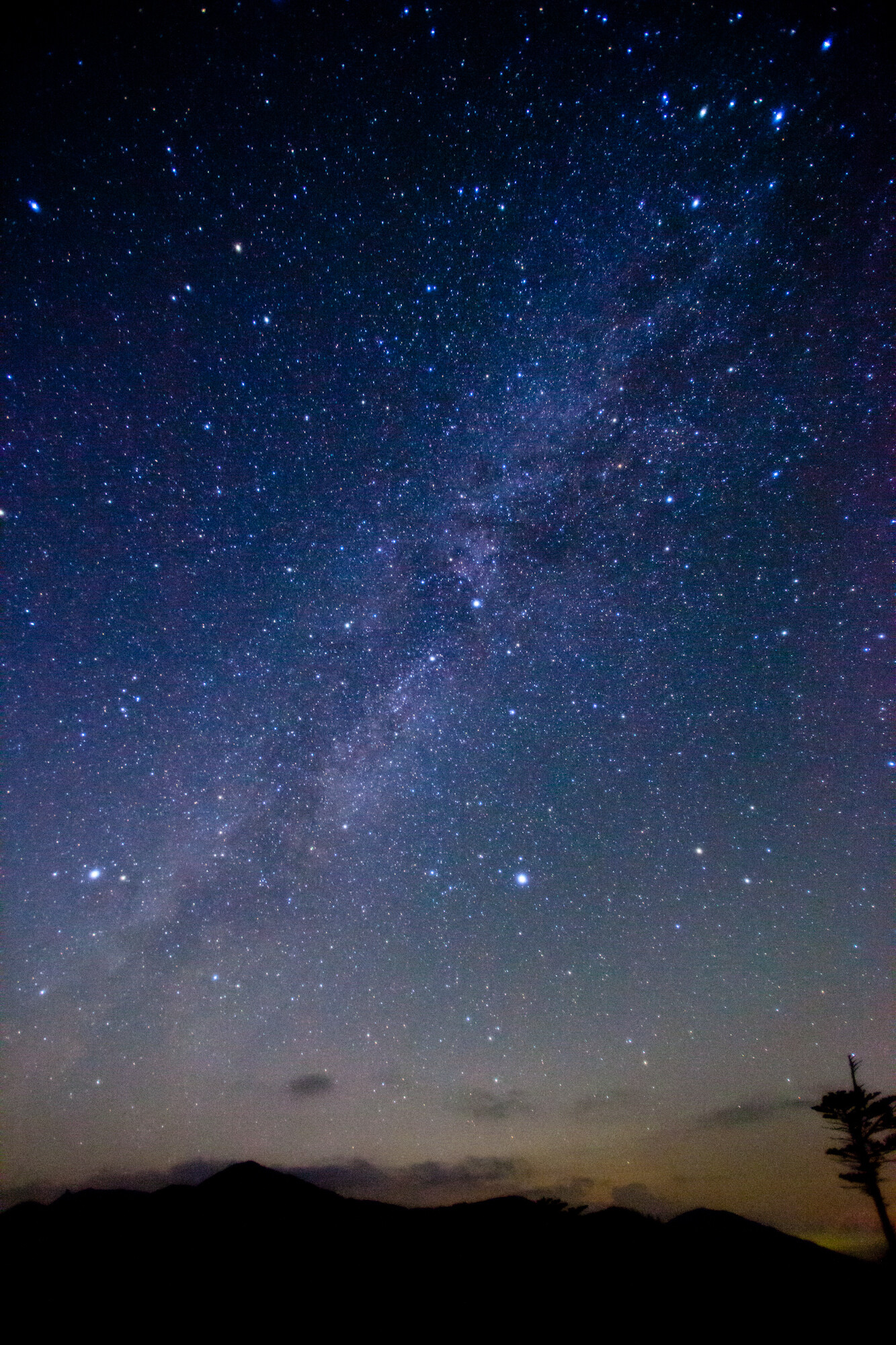 輝く星座