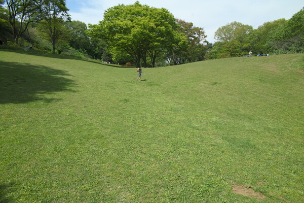 【清和】緑の丘