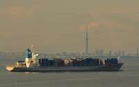 コンテナ船と東京スカイツリー