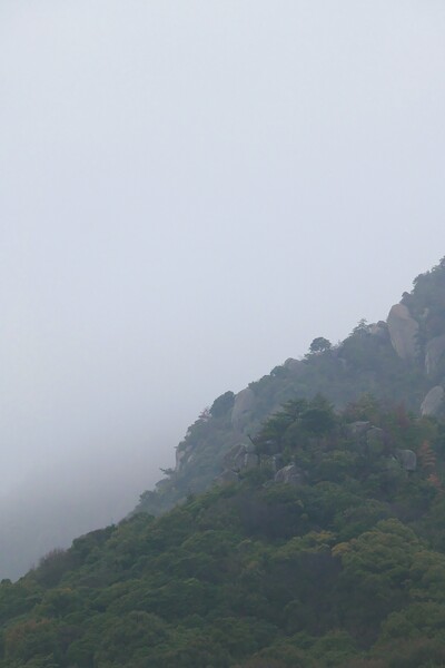 朝霧にけむる