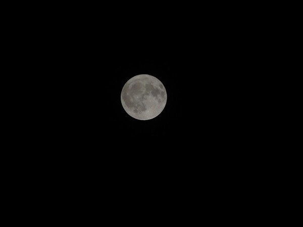 私も月を撮って見ました。