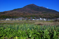 師走の筑波山