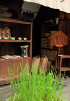 都心の米店の風景