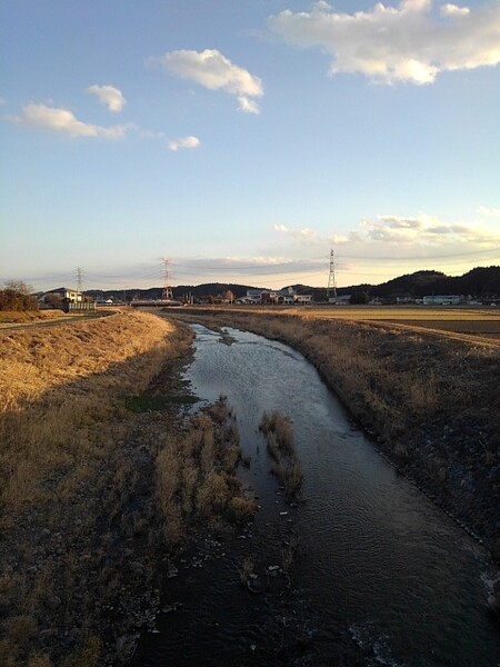 川の景色（1/31に撮影）