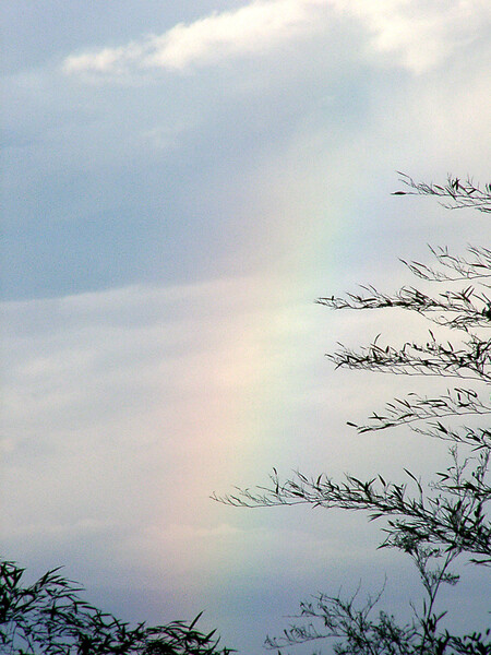 ●雨上がり後の虹