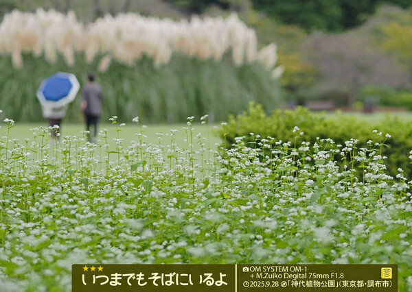 いつまでもそばにいるよ