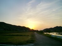 黄金色の夕焼け