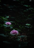 静かに