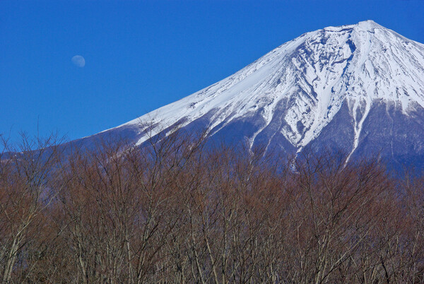 富士山の横顔