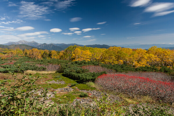 Autumn scenery Ⅱ