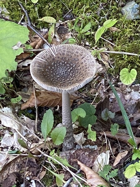 越後湯沢の山奥にて１
