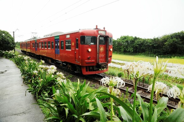 赤い列車と白い花