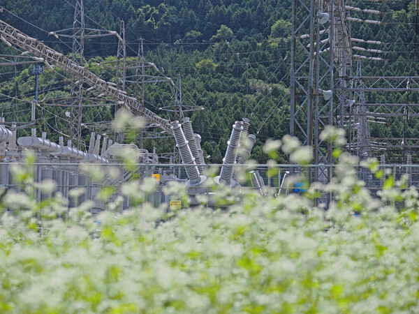 生産地
