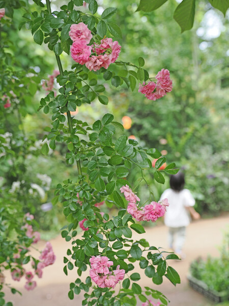 興味津々