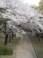 これぞ男の花道言うことなし