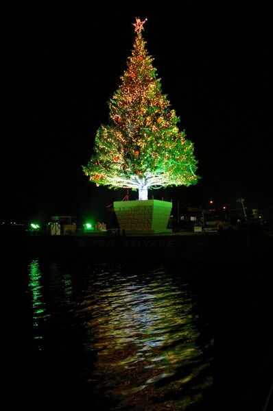 クリスマスツリー　フロム　カナーダー