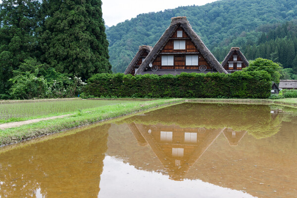 白川郷_初夏の佇まい