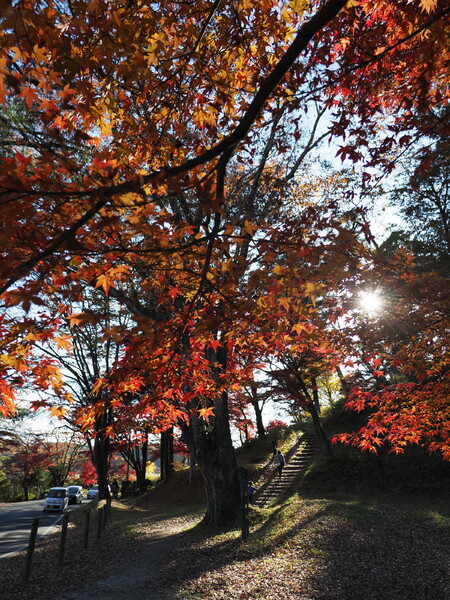 南湖の秋～坂のある風景～