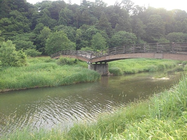 美しい川と似合う木製の橋