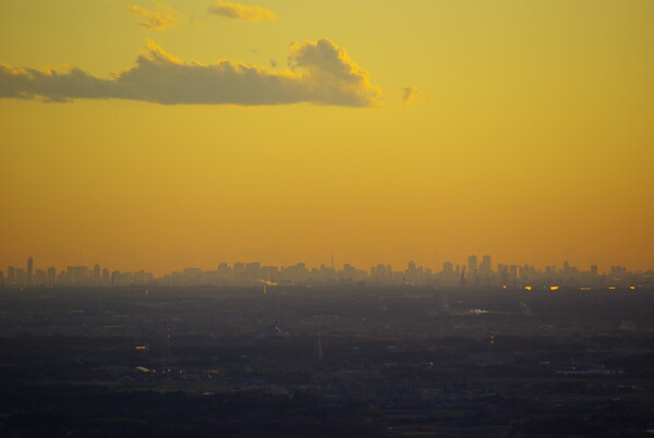 東京ビル群の夕景