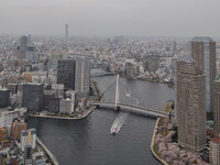 東京スカイツリーと墨田川