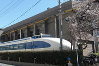 桜と０系新幹線