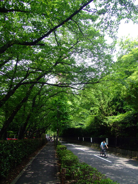 東京の緑道