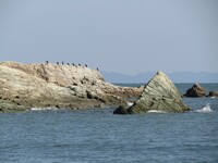 大神子海岸＆岩のある風景