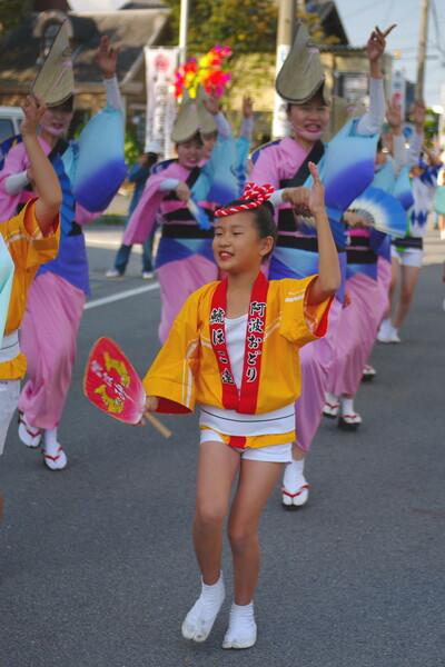 【流】　阿波踊りパレード