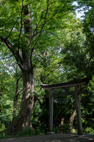 日吉神社