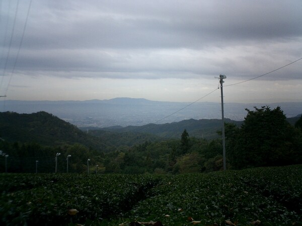 奈良市内の山からの景色