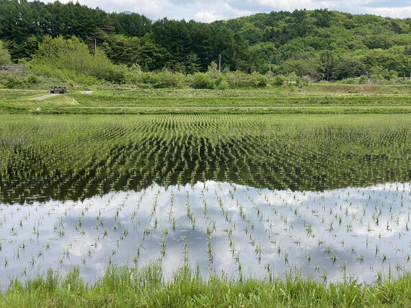 田植えも終わって・・・