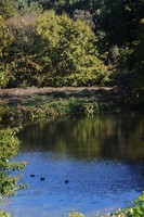 砧公園秋深く・・・