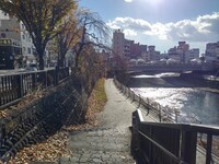 宇都宮の川沿いの道の景色