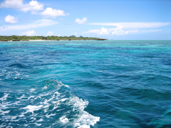 【流】青く済んだ海