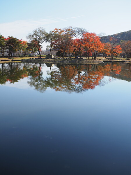 栃木の秋(鳥の目河川公園)