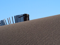 砂山と砂防竹