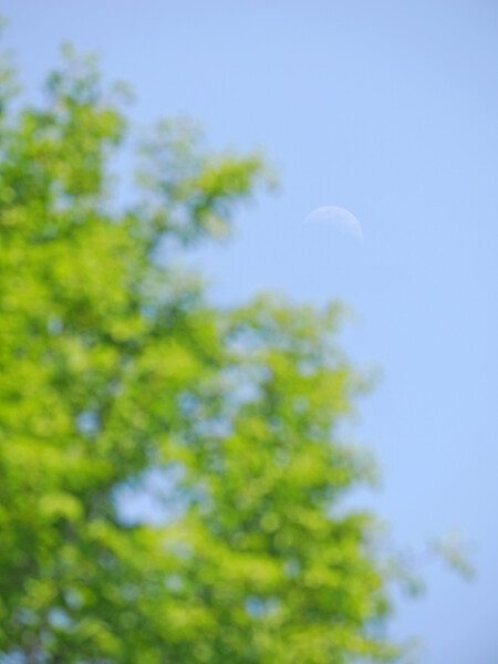 皐月の空