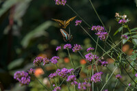 後ろから前から