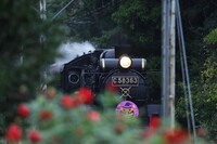 ハロウィーン列車？