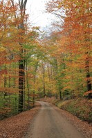 秋の山路
