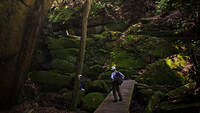 里の岩山男 