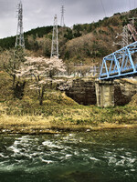 【質】　桜と河に青い鉄橋