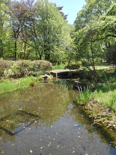 那須野が原公園の森の広場の池