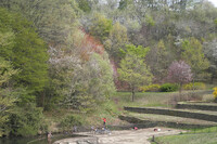 公園の池で遊ぶ子供たち