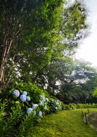 公園にて