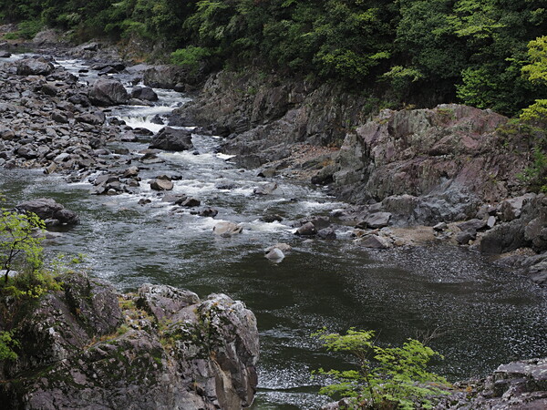 渓流の風景