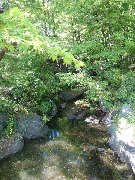 那須野が原公園の涼しげな小川の景色