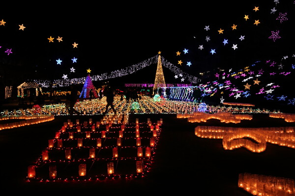 広島市植物公園　クリスマスイルミネーション